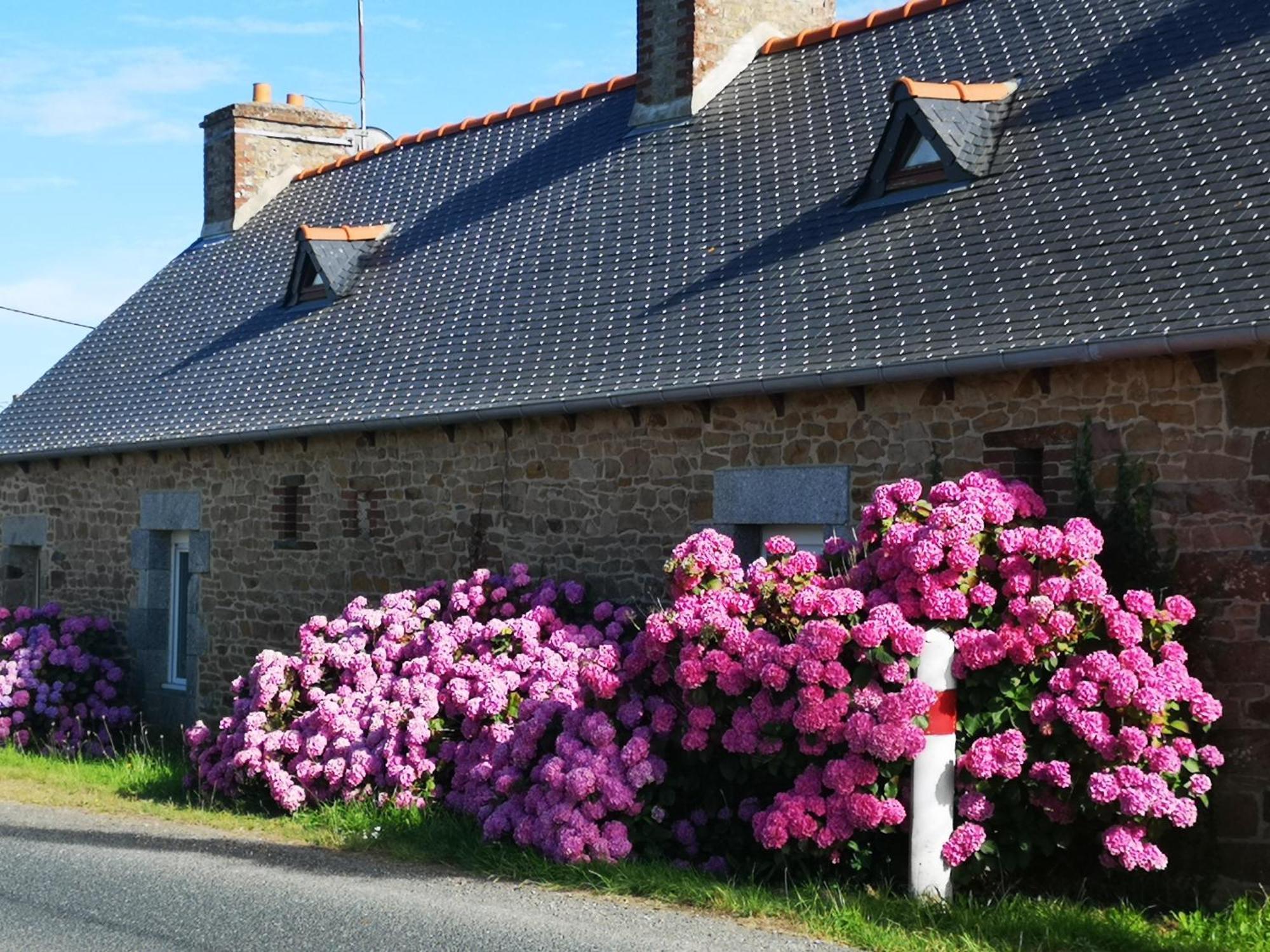 Вилла Gite Breton Sur La Cote De Granit Rose Pleudaniel Экстерьер фото